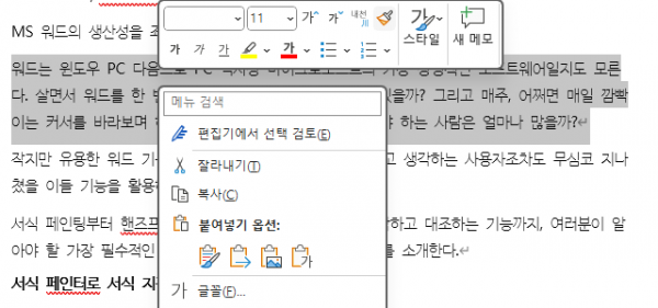 Microsoft Word essentials features