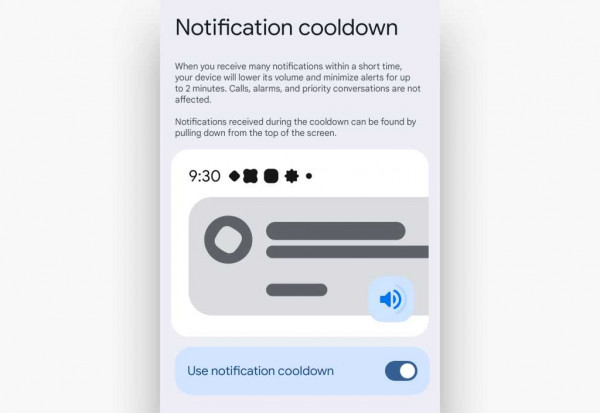 notification cooldown settings in android 15