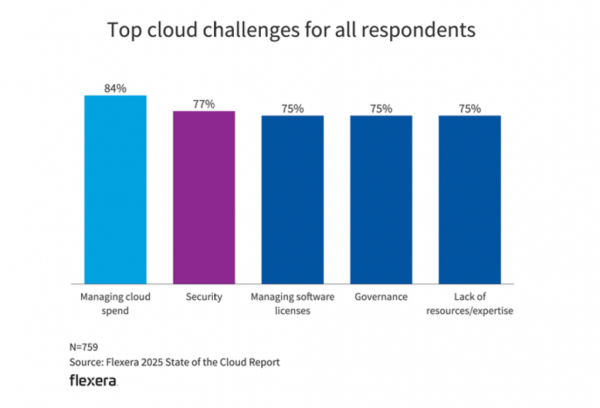 Flexera - Top cloud challenges