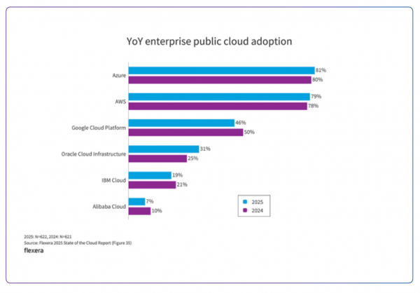 Flexera - YoY public cloud adoption