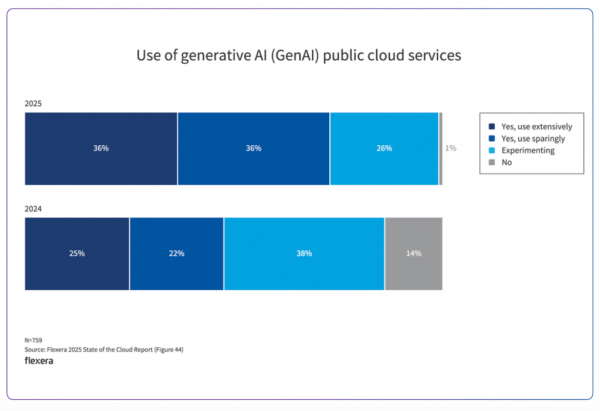 Flexera - Use of generative AI