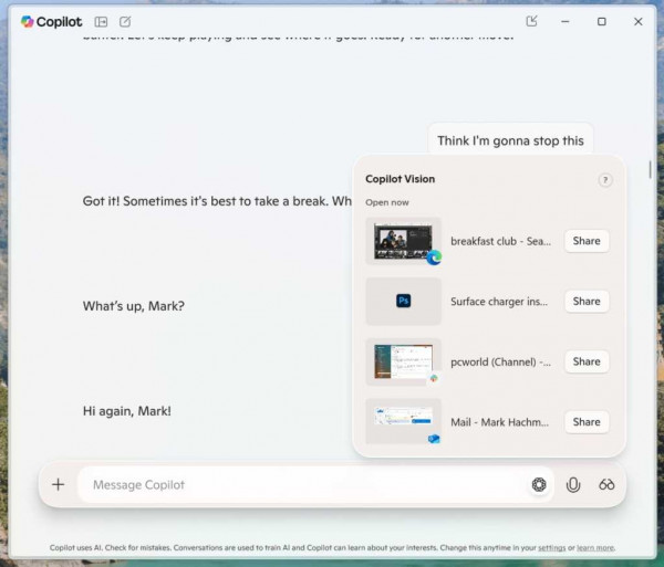 Copilot Vision for Windows test