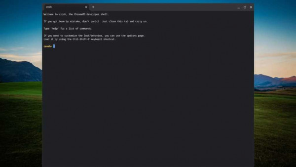 ChromeOS Crosh terminal