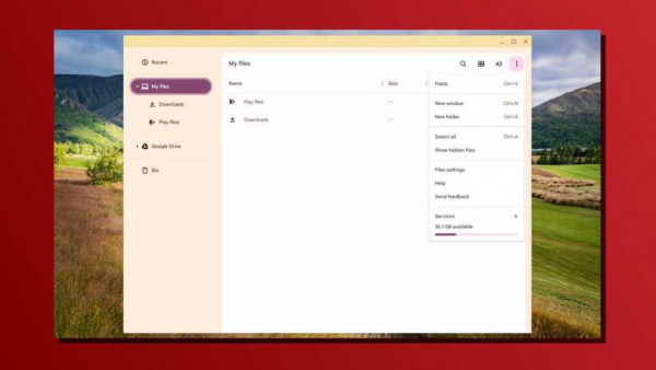 Chromebook offline storage overview screenshot