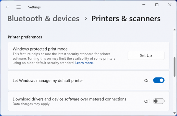 Windows protected print mode