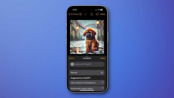 a sad puppy on a rainy day