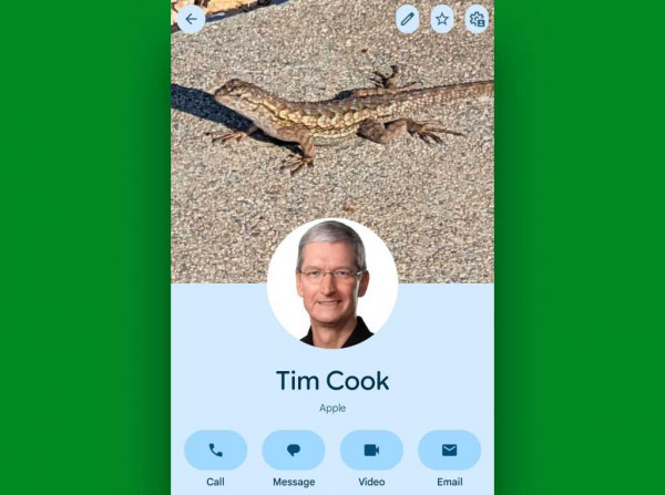 Google Pixel Phone features: Calling Card profile