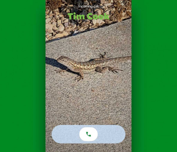 Google Pixel Phone features: Calling Card incoming call