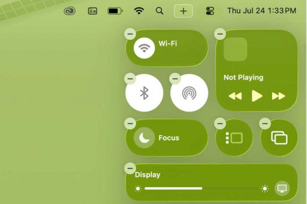 Remove controls from Control Center
