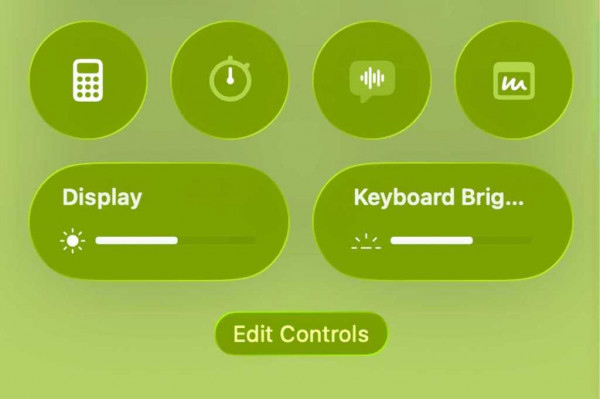 The Edit Controls button