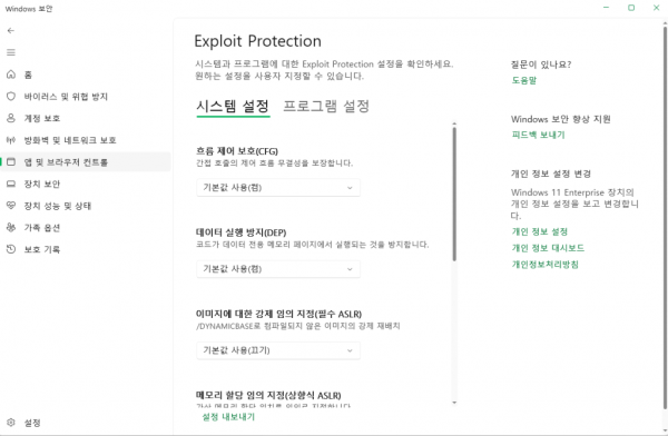 익스플로잇 프로텍션