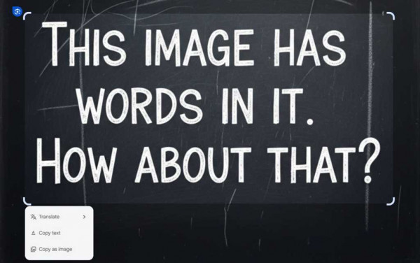 Google Windows app: Screenshot text