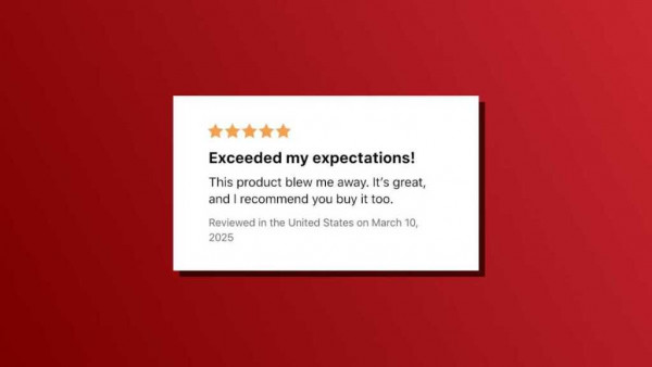 Fake review red flags generic high praise