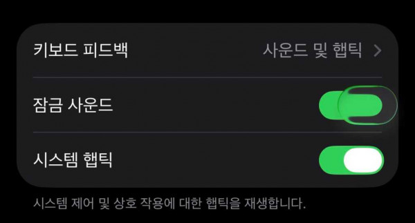 Liquid Glass toggle in the Settings app