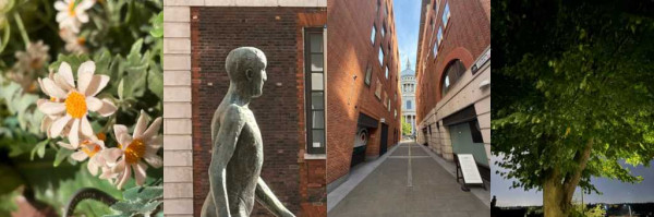 iPhone 17 review camera