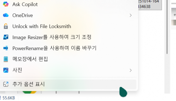 윈도우 11 파일 탐색기 추가 옵션 표시