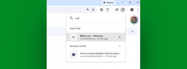 Google Chrome Browser: Tab search