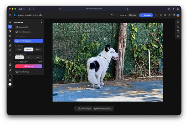 Photoshop Generative Upscale bef