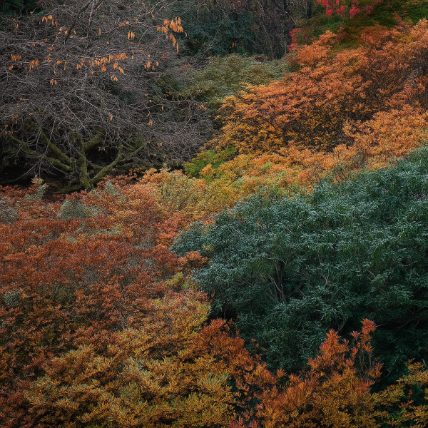 The result ChatGPT spat out