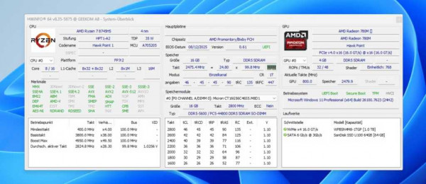 Geekom A8 HWinfo Results