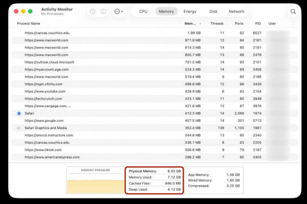 Safari tabs macOS Activity Monitor