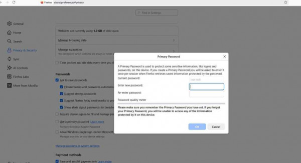 Firefox password manager